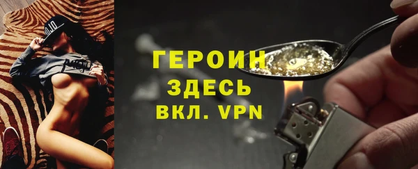 молекула духа Арсеньев