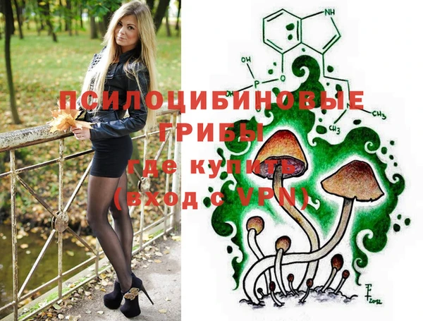 молекула духа Арсеньев