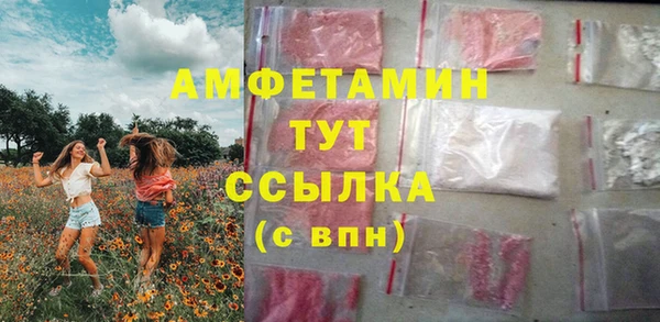 молекула духа Арсеньев