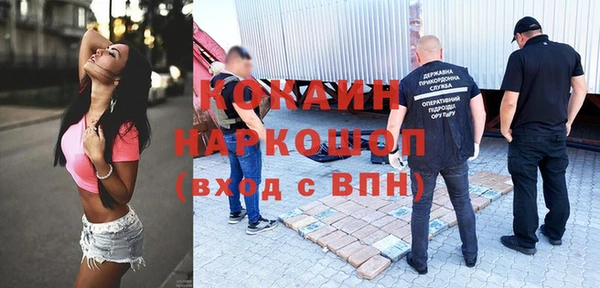 молекула духа Арсеньев