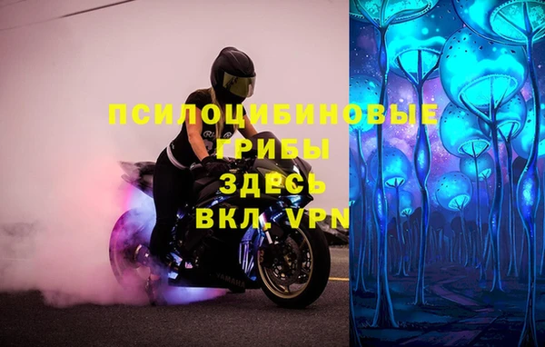 молекула духа Арсеньев