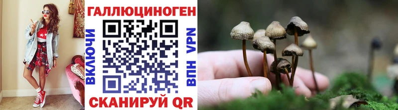 Псилоцибиновые грибы Magic Shrooms  гидра ссылки  Краснослободск 